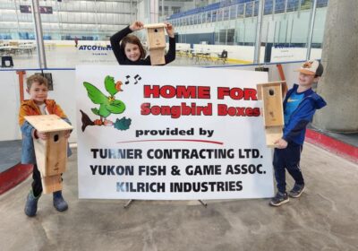 2025-Bird-Bat-Box-Building-Day-1