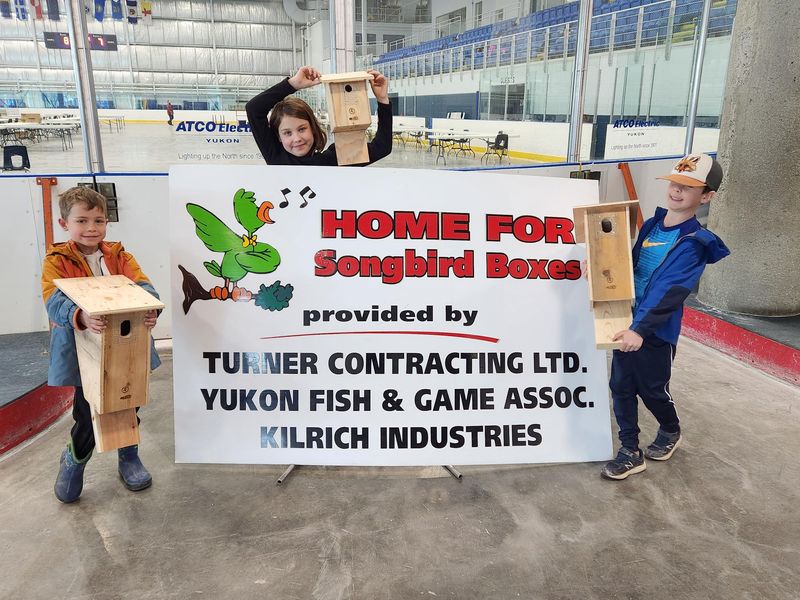 2025 Bird & Bat Box Building Day